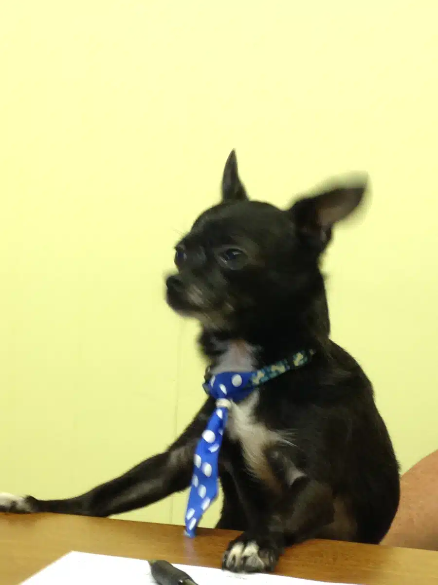 Green Ctr of Growth and Development - Thumbnail 2