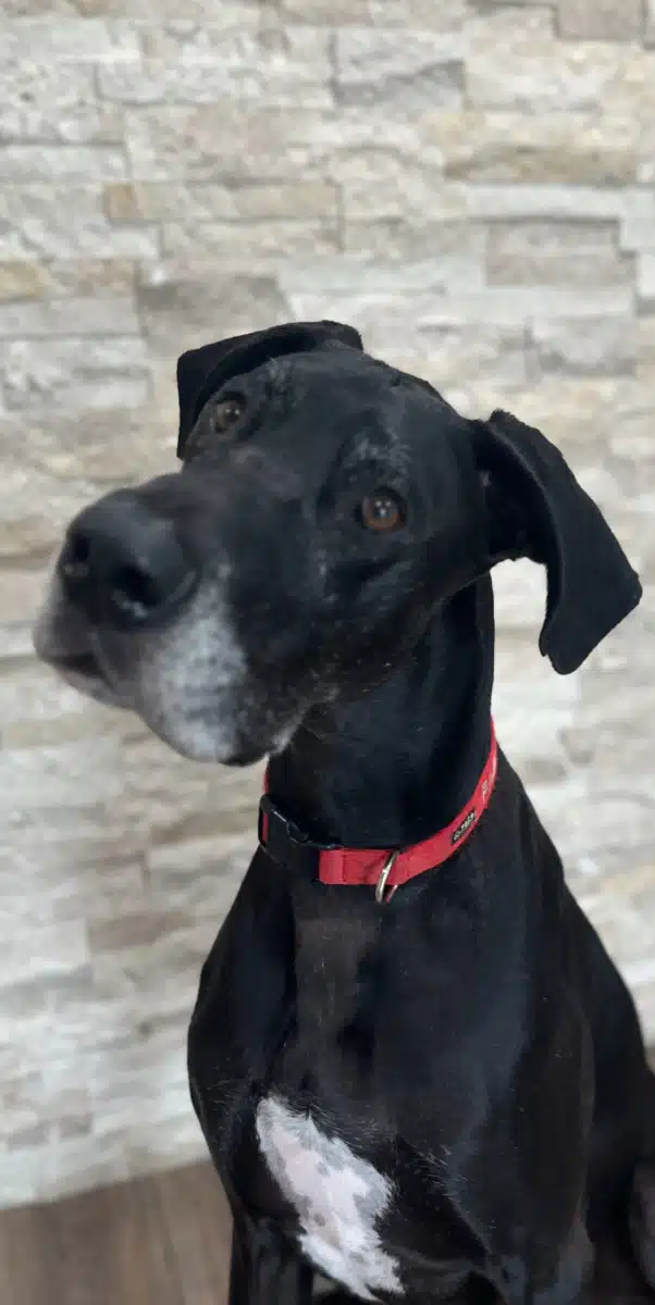 Hatch Behavioral Health - Thumbnail 5