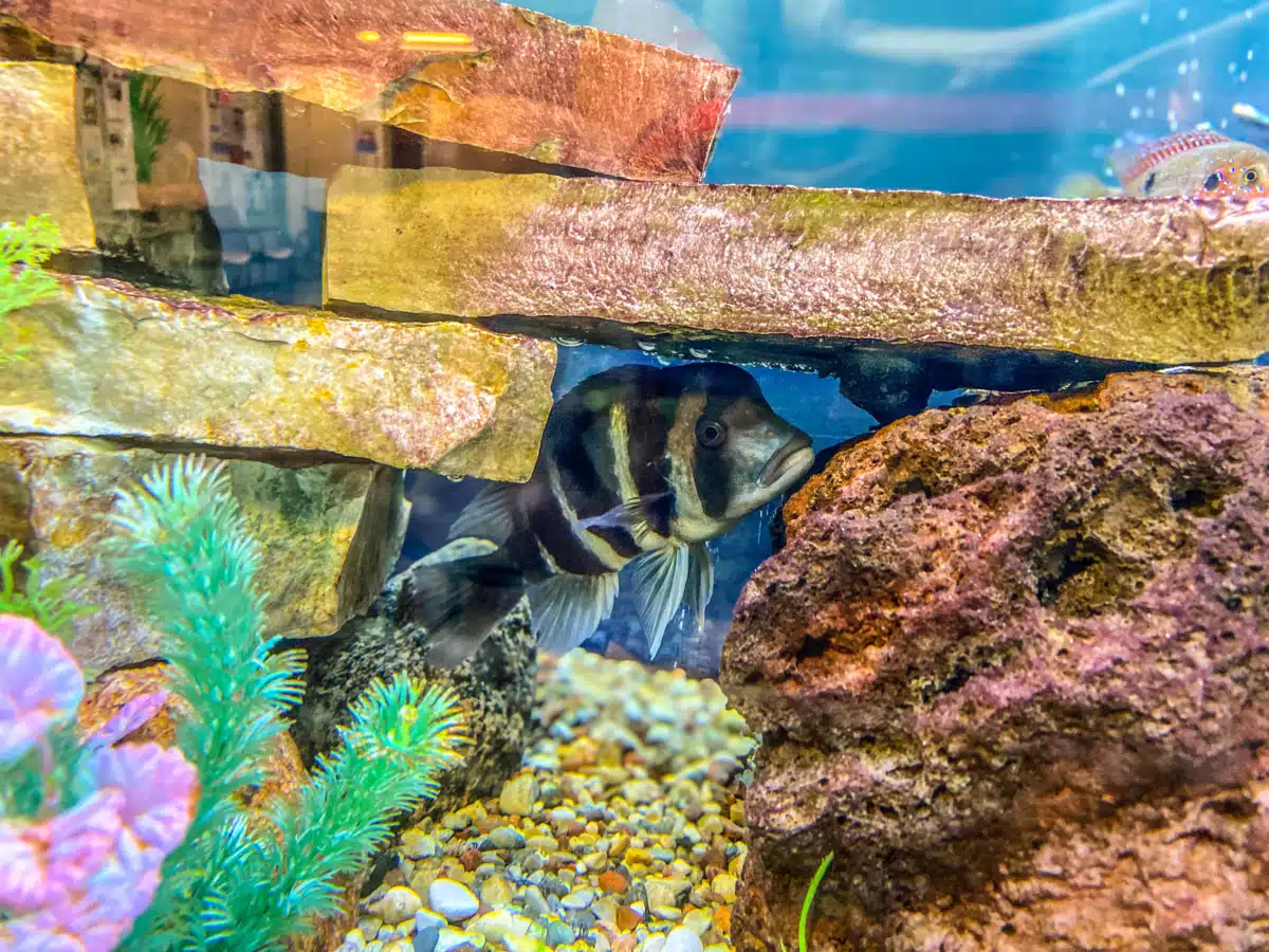 HealthWest - Thumbnail 7