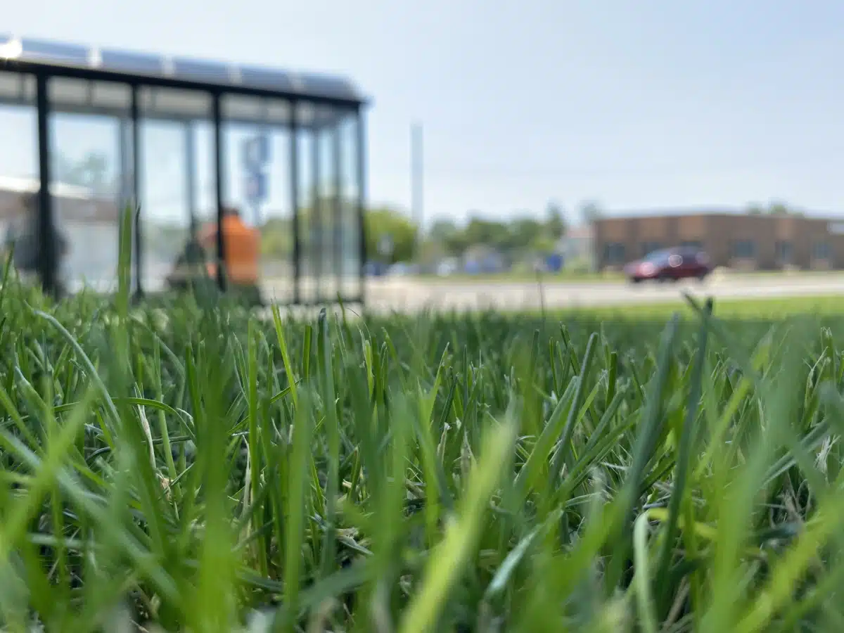 HealthWest - Thumbnail 8