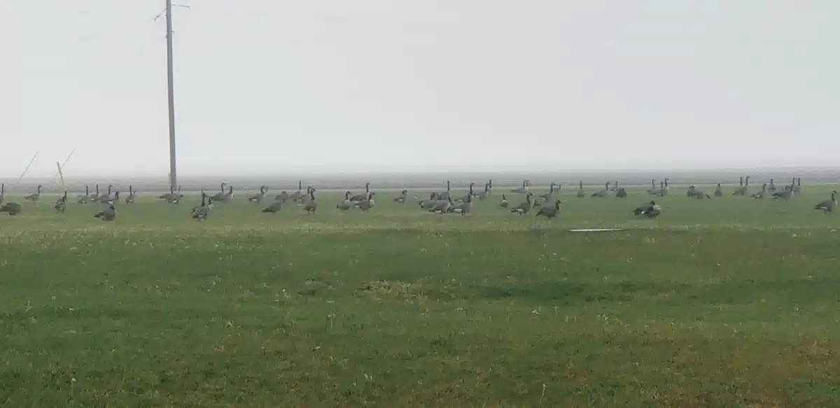 Henderson County Health Center - Thumbnail 3