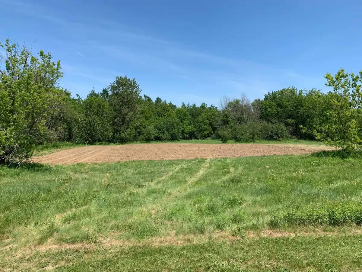 Houlton Band of Maliseet Indians - Thumbnail 9