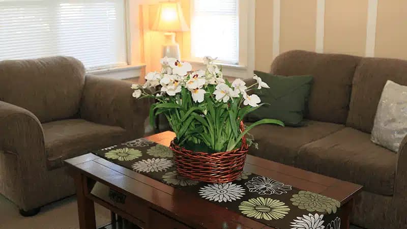 House of Hope Foundation Inc - Thumbnail 4