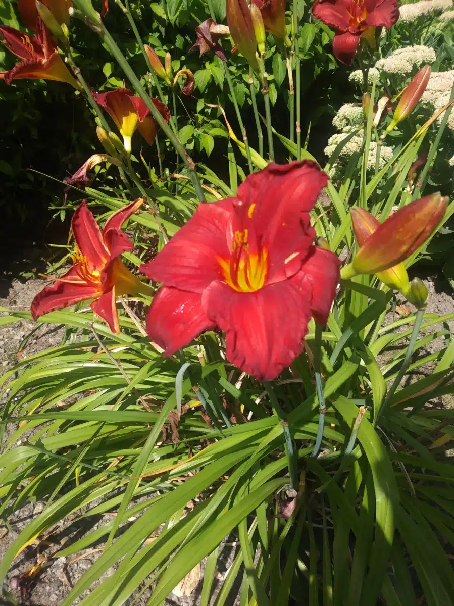 IKRON Corporation of Greater Seattle - Thumbnail 2