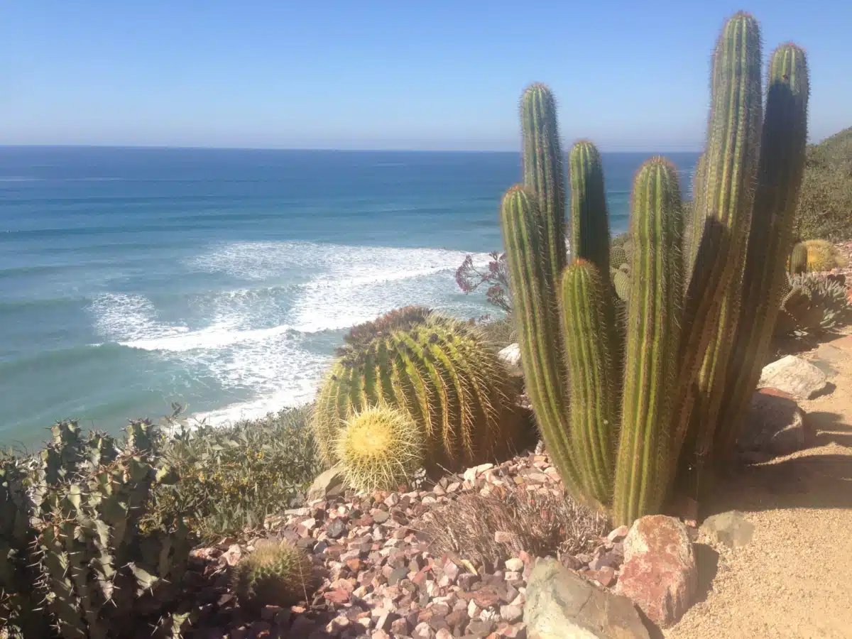 Kali West LLC - Thumbnail 2