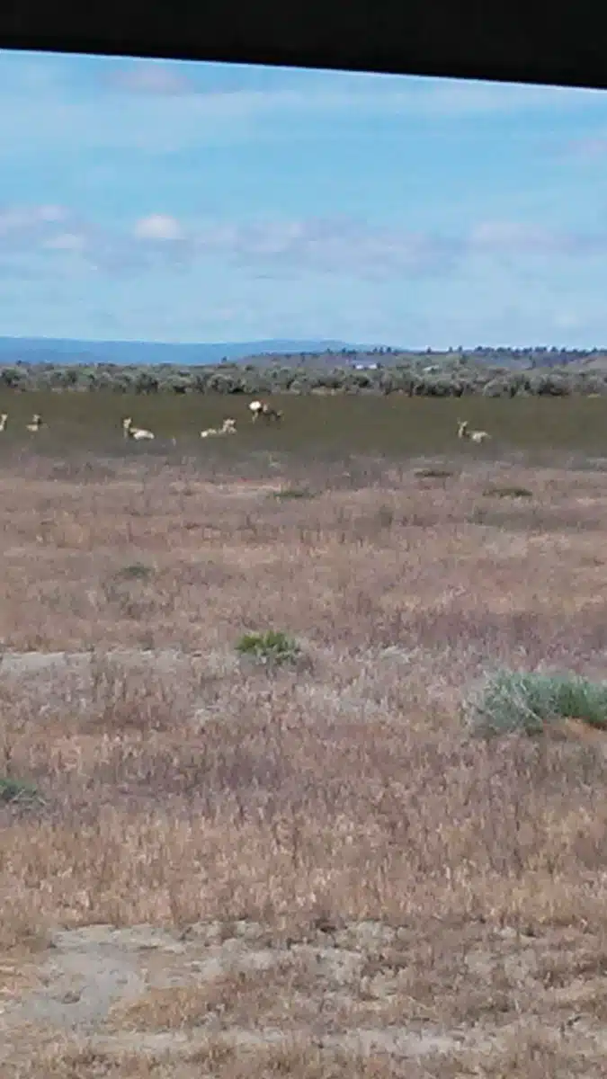 Lake District Christmas Valley - Thumbnail 9