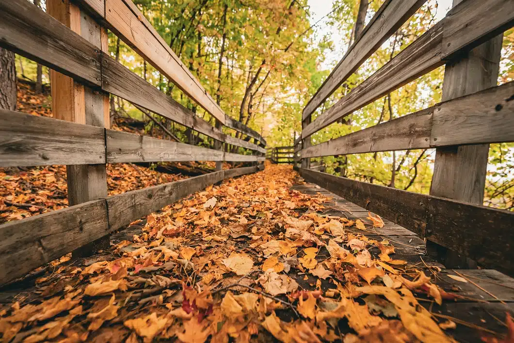 Lakeside Academy - Thumbnail 6