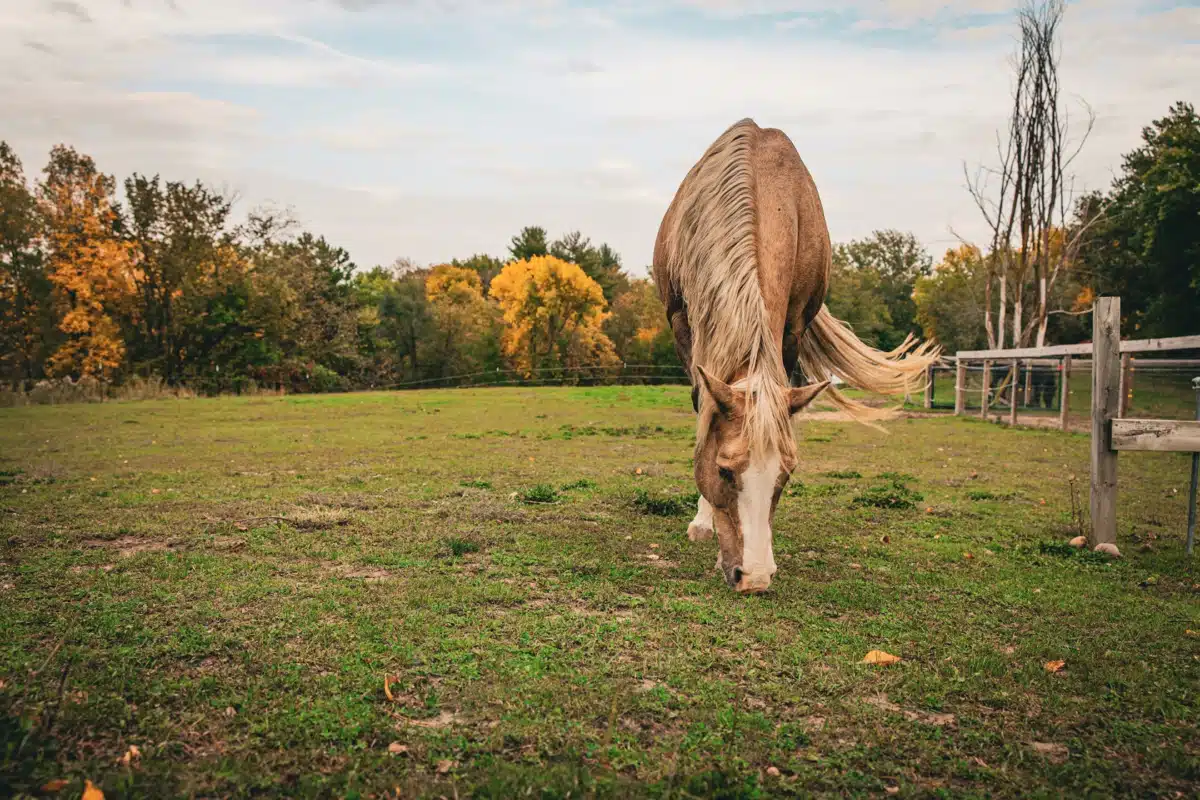Lakeside Academy - Thumbnail 7
