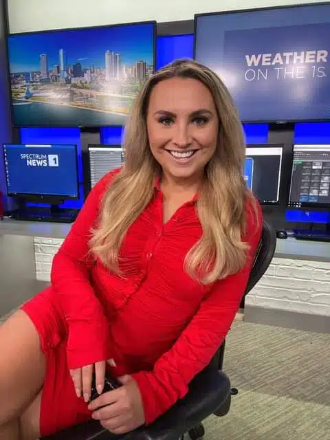 Lionrock Recovery - Thumbnail 3