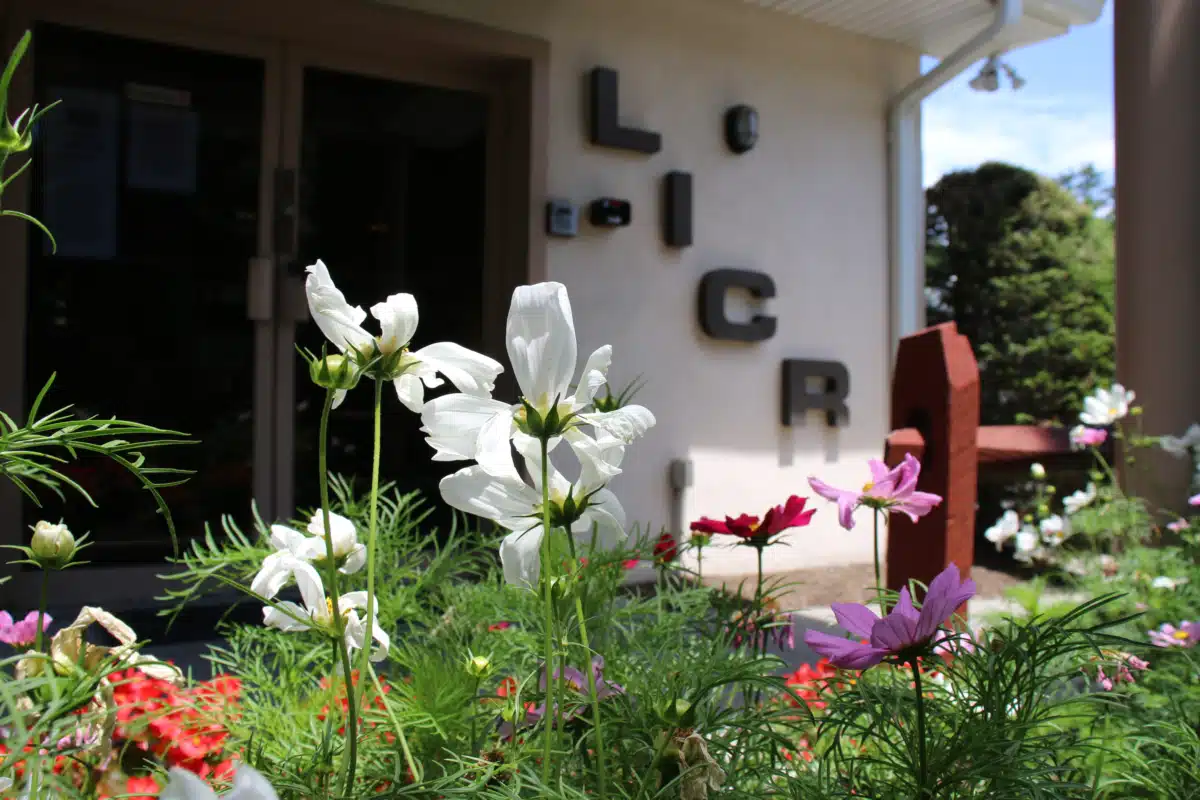 Long Island Center for Recovery Inc - Thumbnail 6