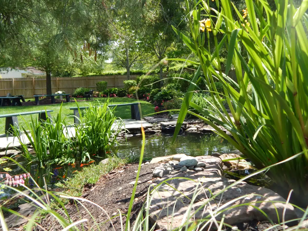 Long Island Center for Recovery Inc - Thumbnail 9