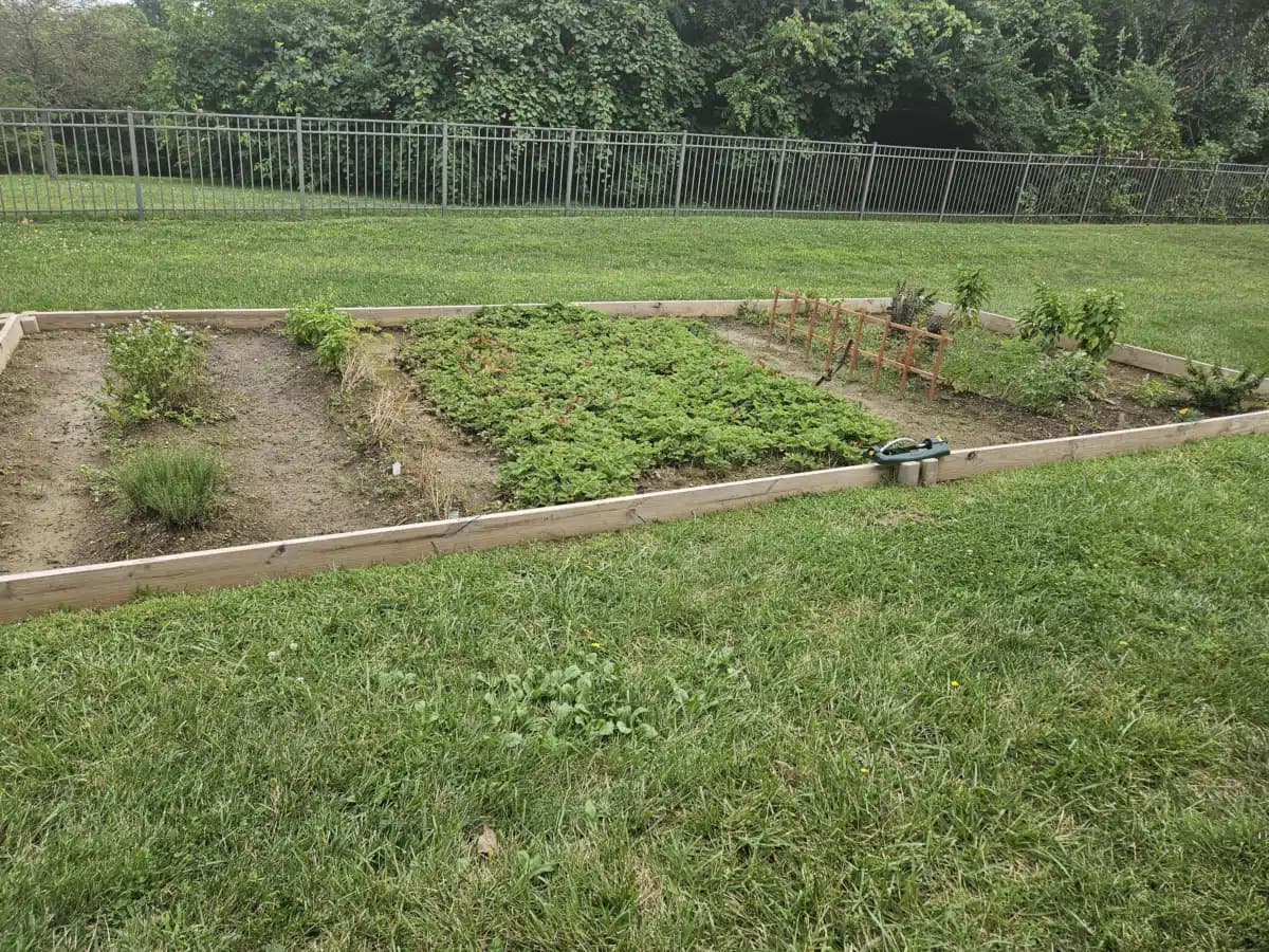 Lumiere Healing Center - Thumbnail 8