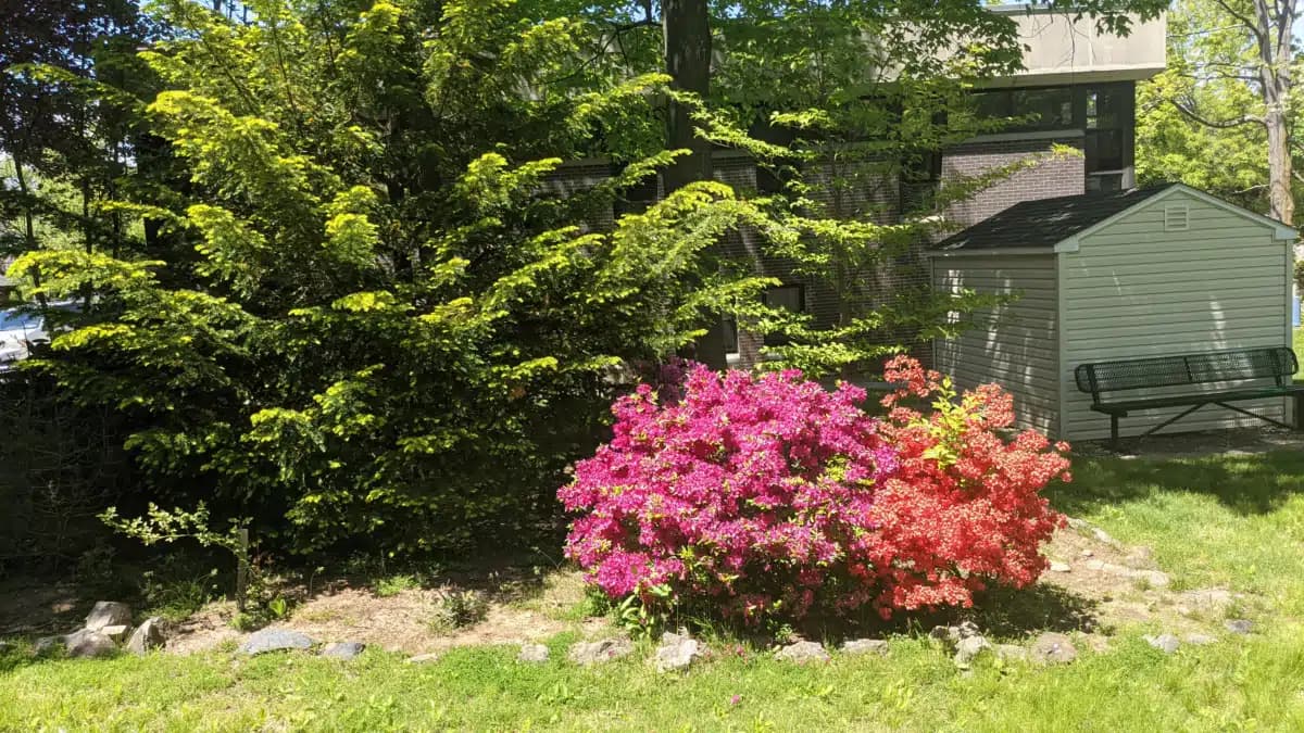 MH Assoc of Westchester Co Inc - Thumbnail 5