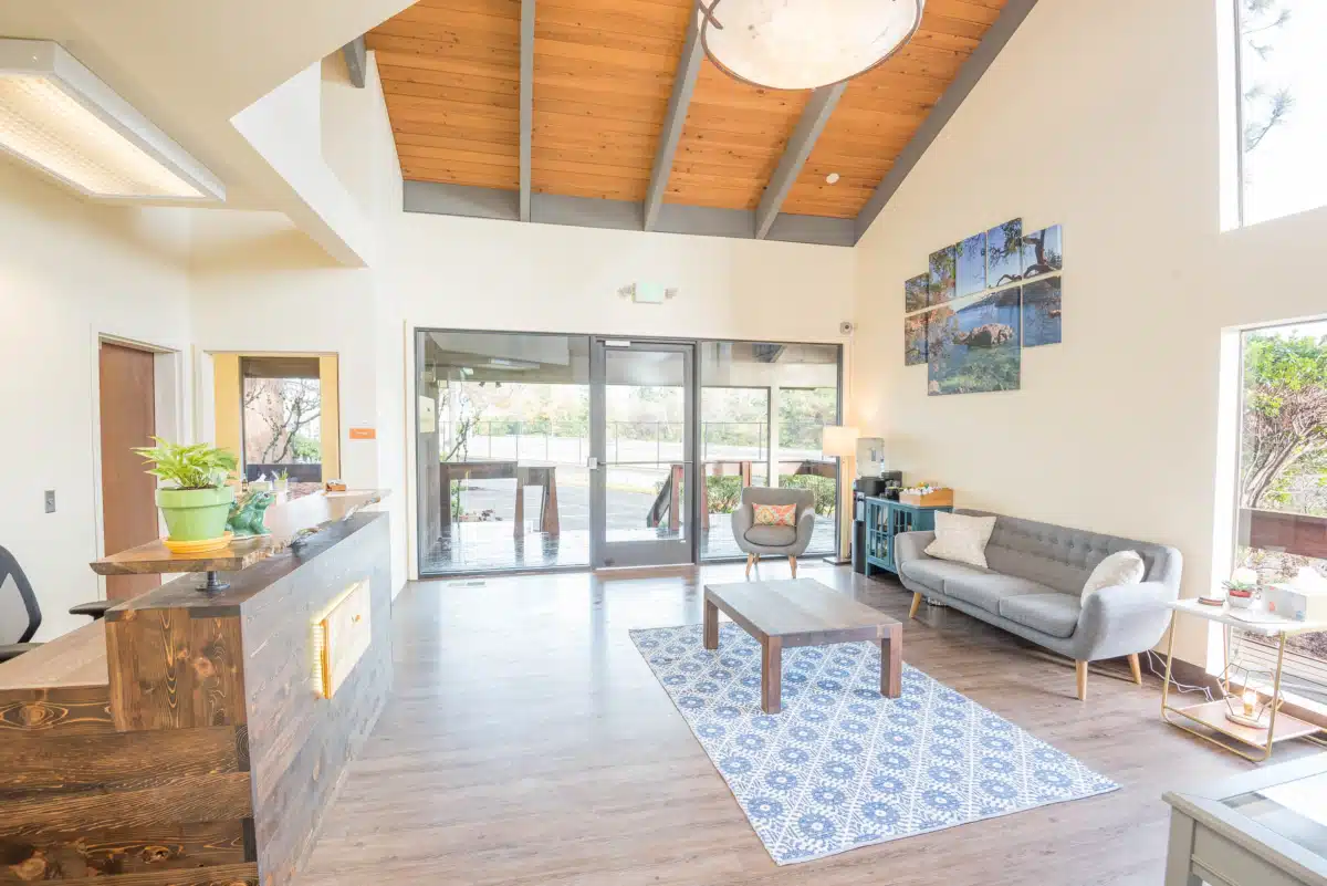 Madrona Recovery - Thumbnail 3