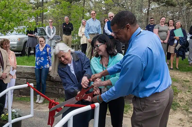 Marthas Vineyard Community Servs - Thumbnail 4