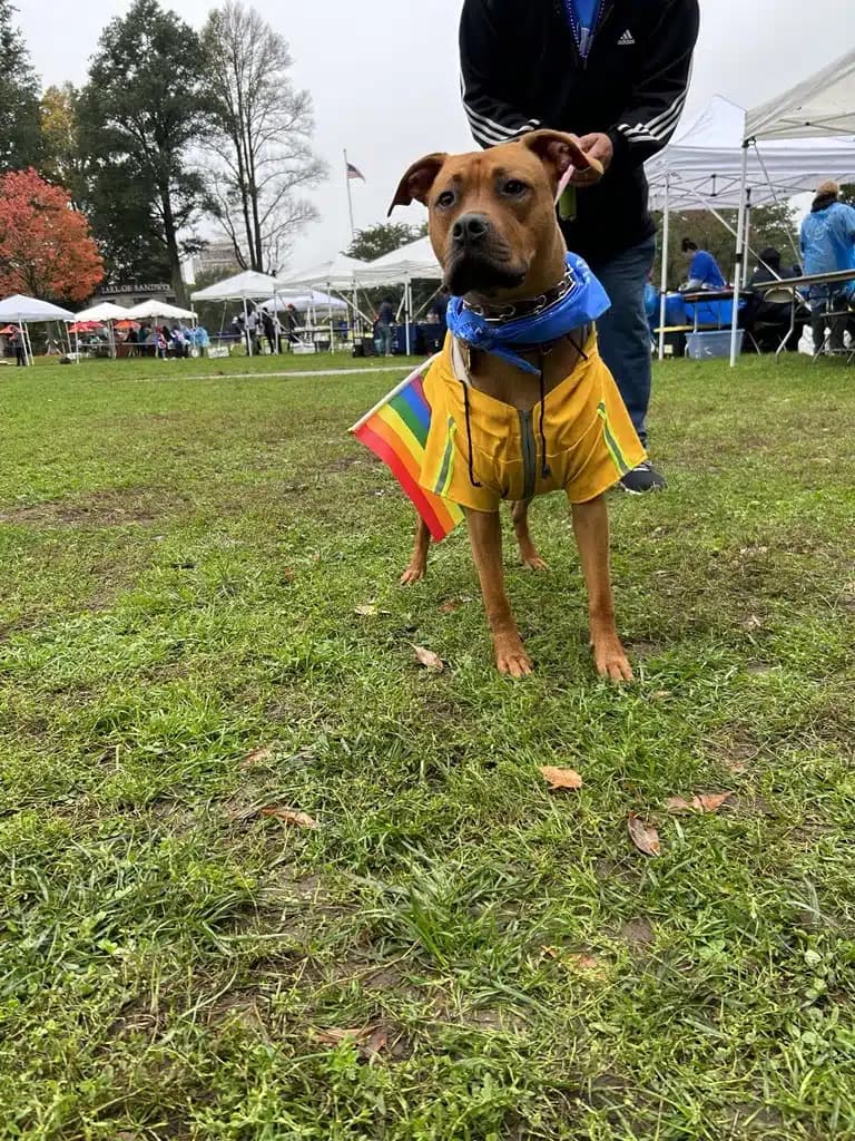 Mental Health Clinic - Thumbnail 8