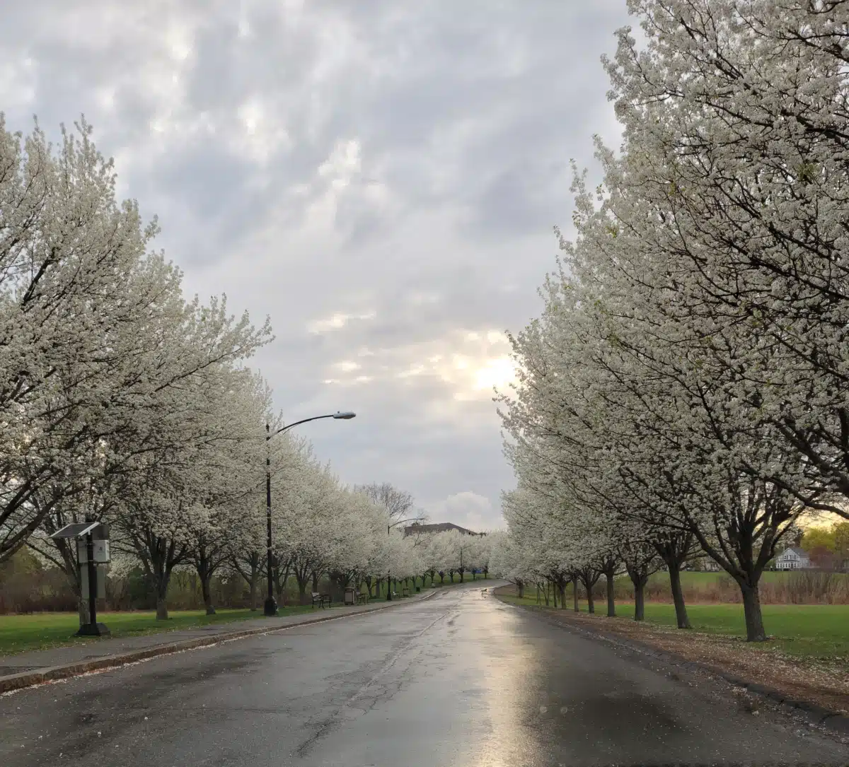 Middlesex Human Service Agency Inc - Thumbnail 2