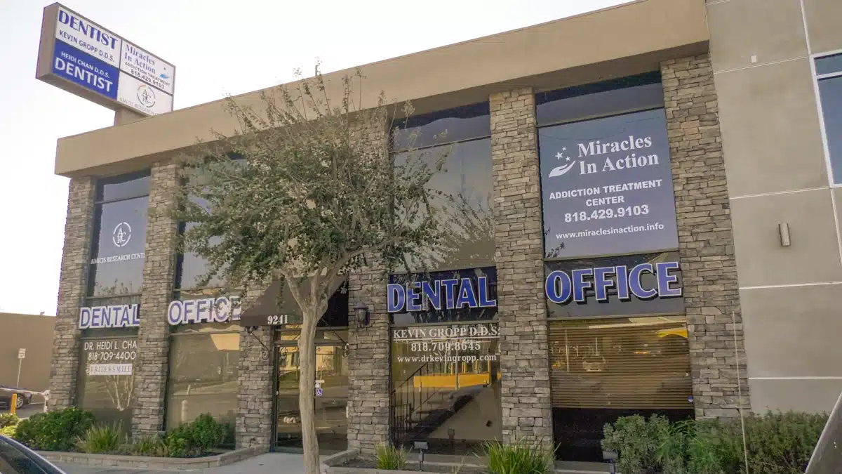 Miracles in Action - Thumbnail 10