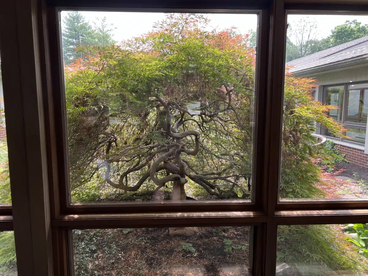 Mirmont Treatment Center - Thumbnail 2