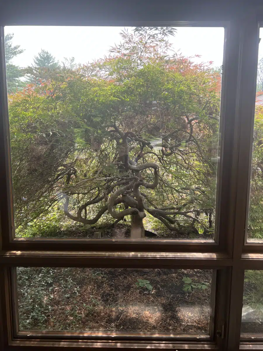 Mirmont Treatment Center - Thumbnail 7