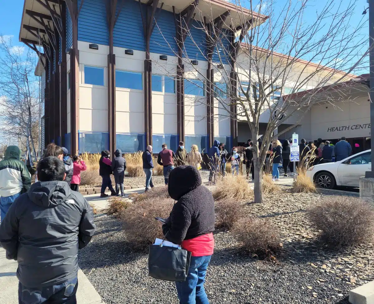 NATIVE Project - Thumbnail 5