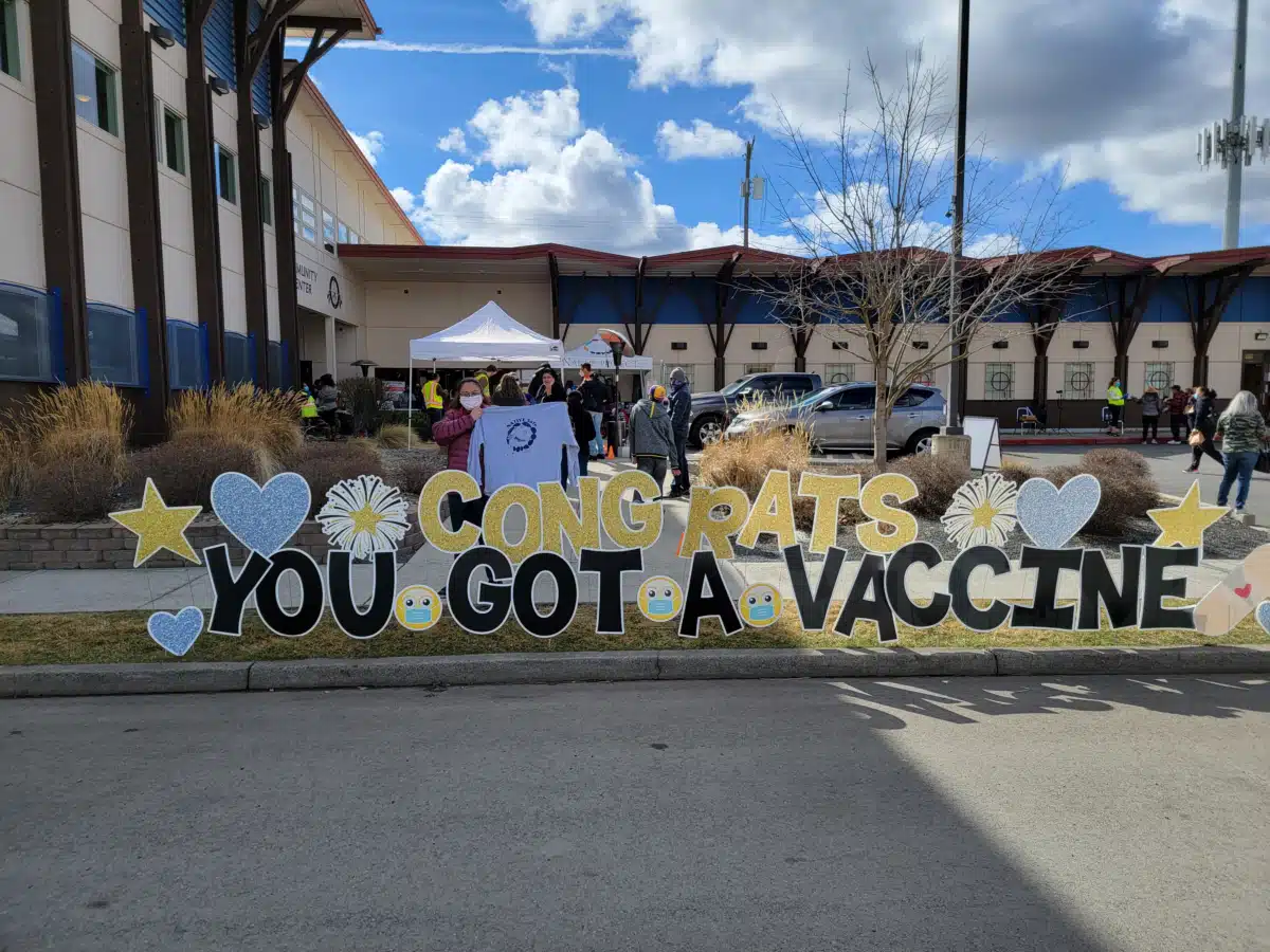 NATIVE Project - Thumbnail 6