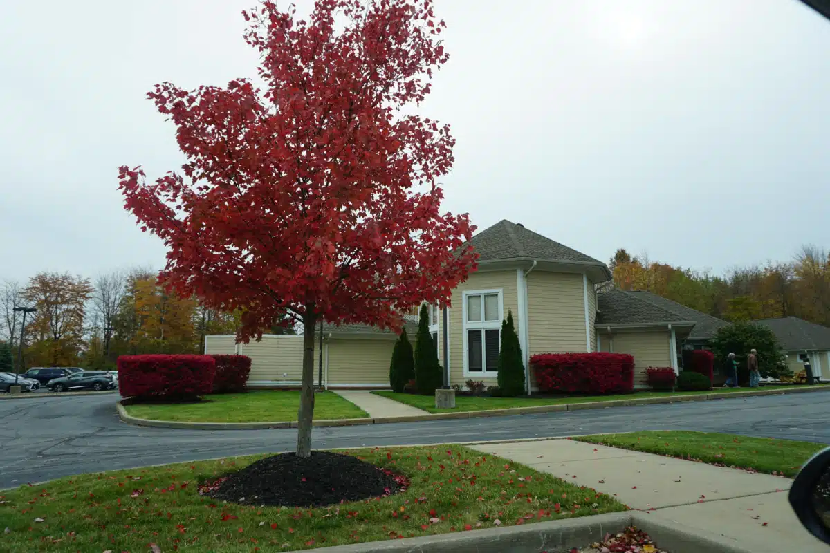 New Directions Inc - Thumbnail 4