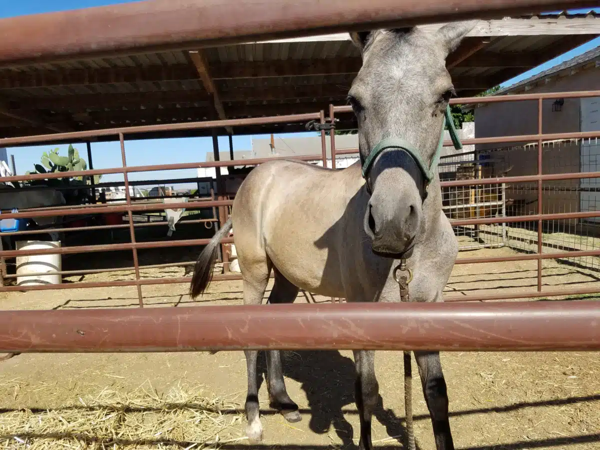 New Hope Recovery - Thumbnail 4