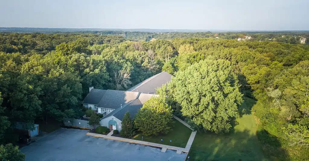 New Leaf - Thumbnail 2