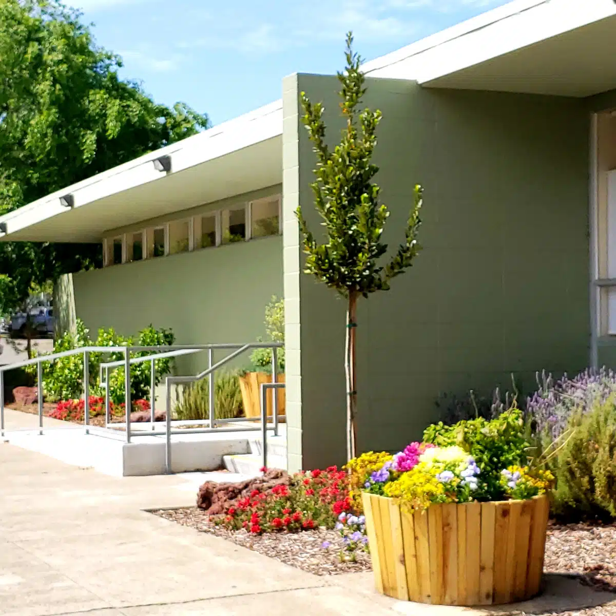 New Life Health Authority - Thumbnail 5