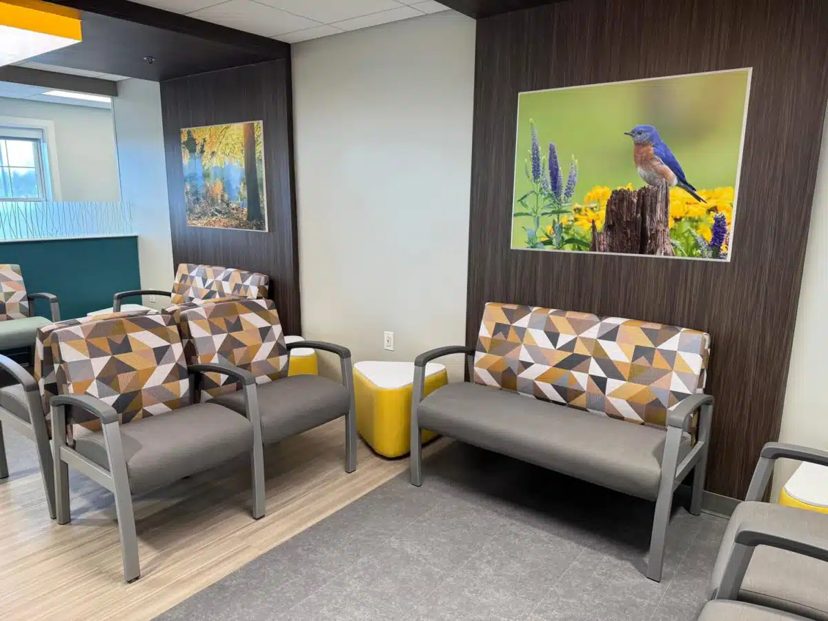 New Vista - Thumbnail 2