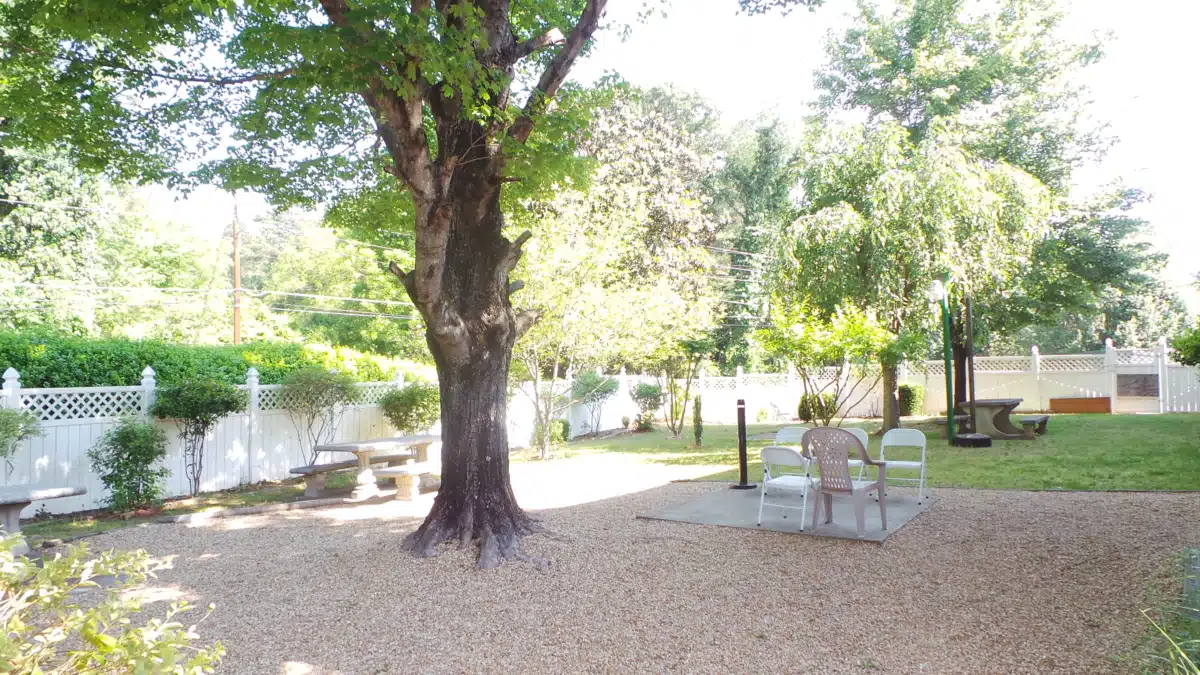 Newport Integrated - Thumbnail 2