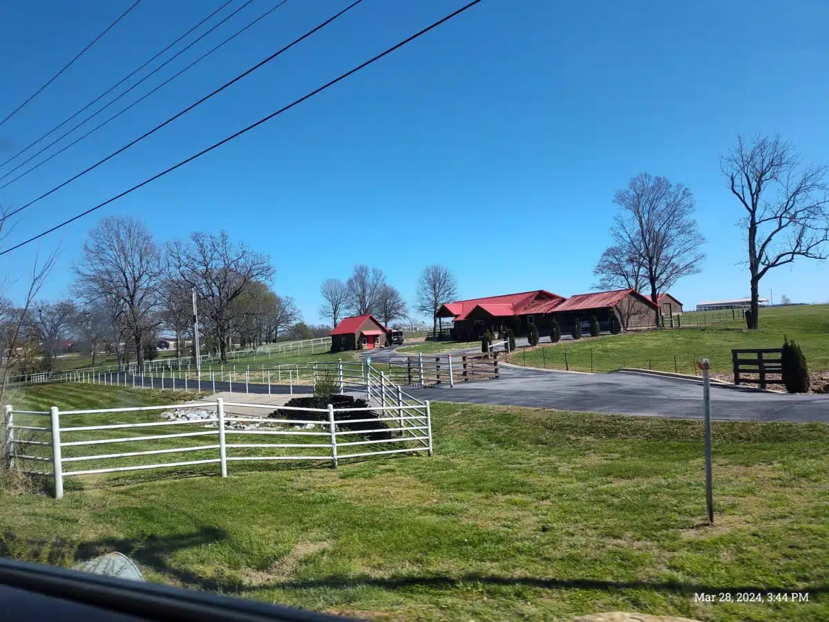 Olive Branch Recovery - Thumbnail 8