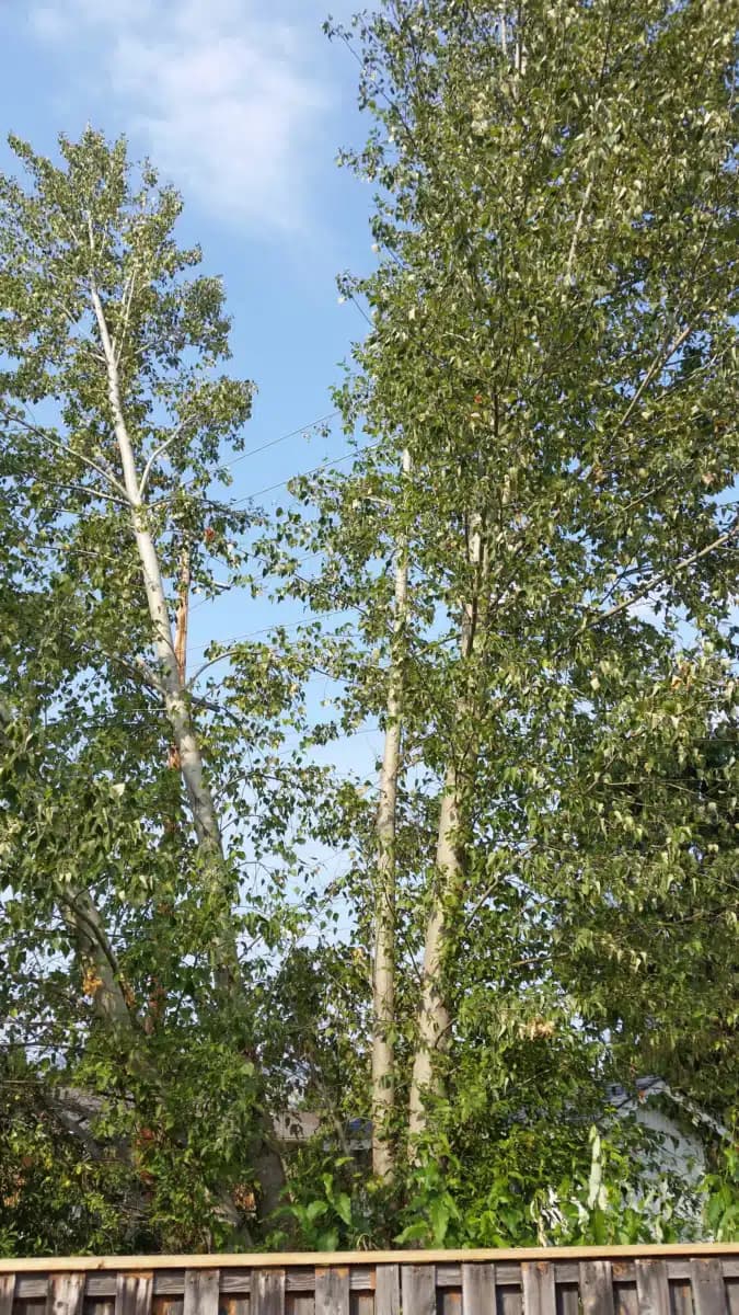 OnTrack Inc - Thumbnail 2