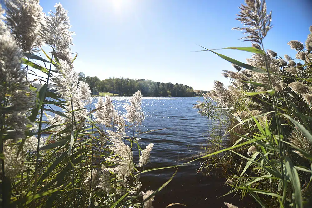 Onward Behavioral Health - Thumbnail 10