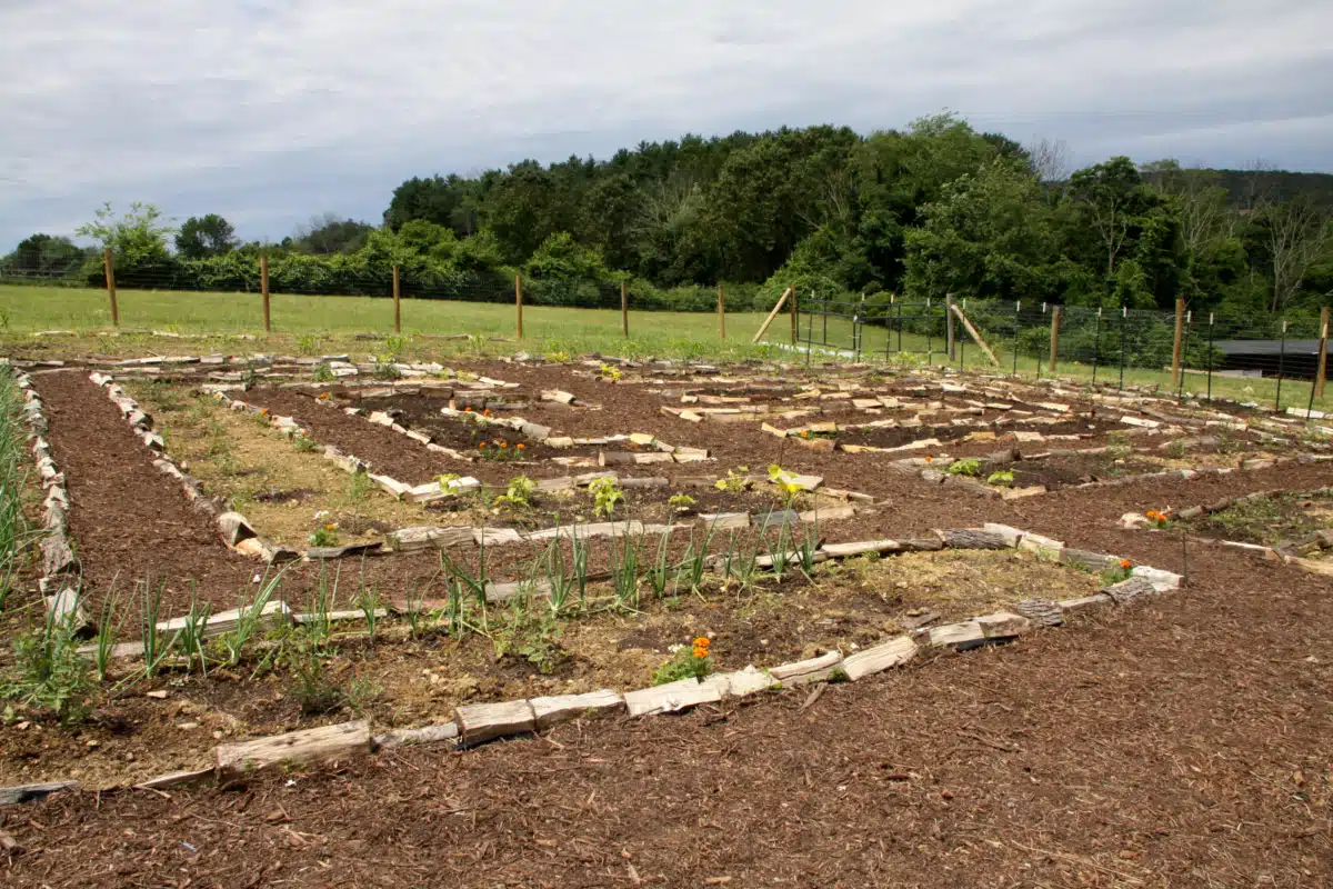 Orenda Center for Wellness LLC - Thumbnail 6