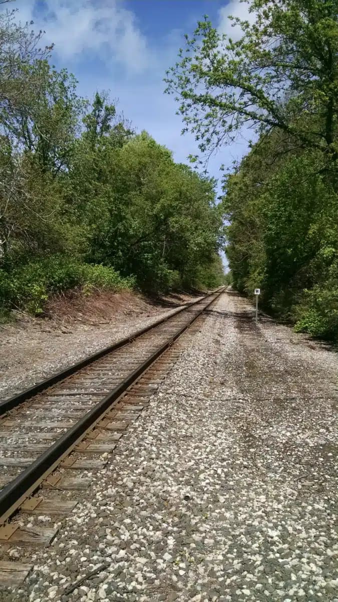 PACT Recovery Connection - Thumbnail 2