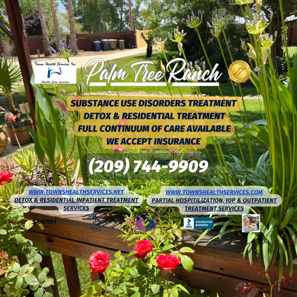 Palm Tree Ranch - Thumbnail 2