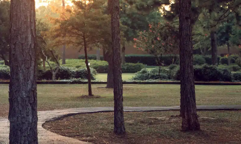 Pine Grove BH and Addiction Servs - Thumbnail 5