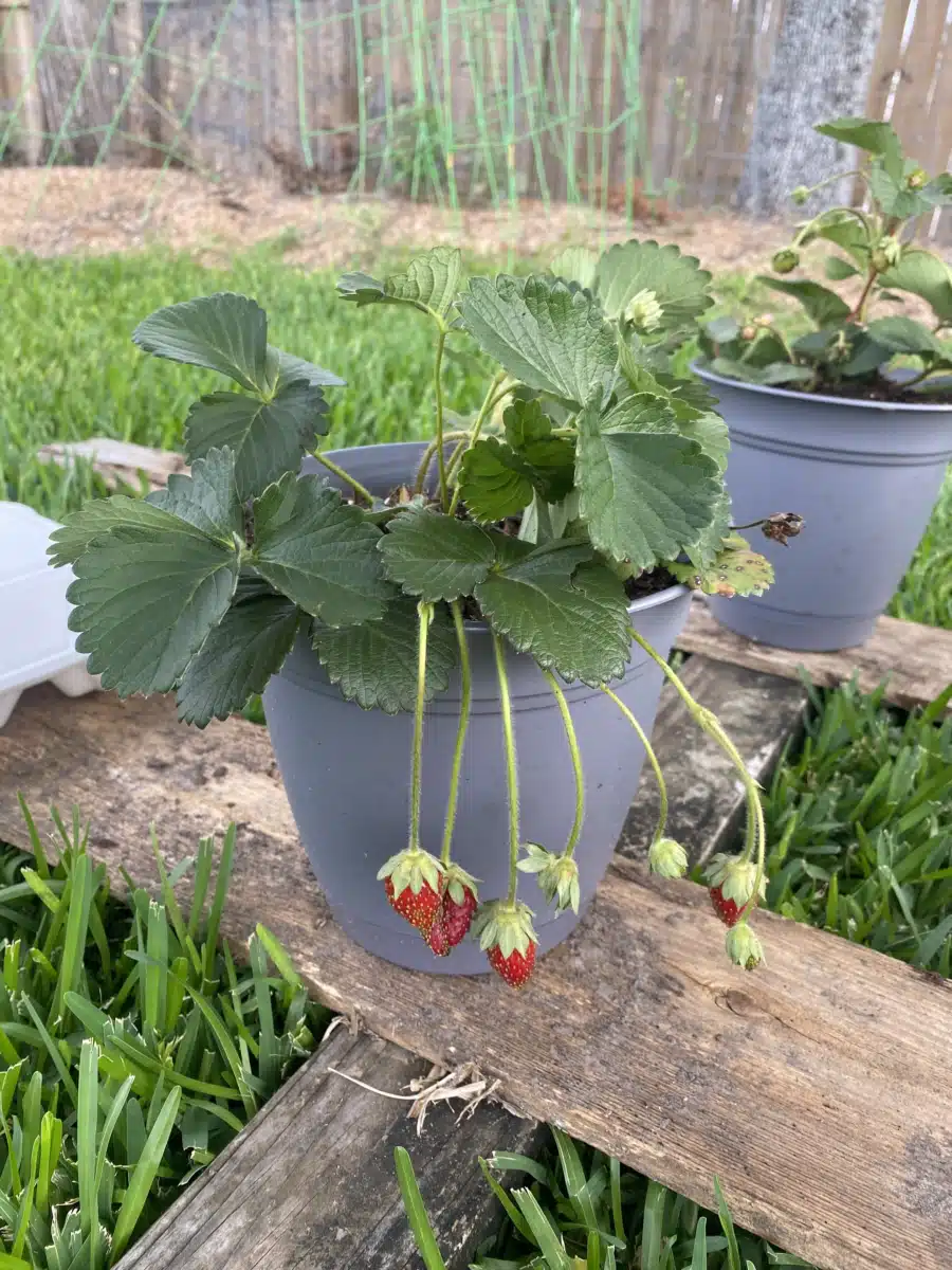 Positive Recovery LLC - Thumbnail 6