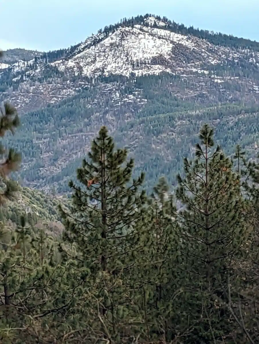 Progress House Inc - Thumbnail 3