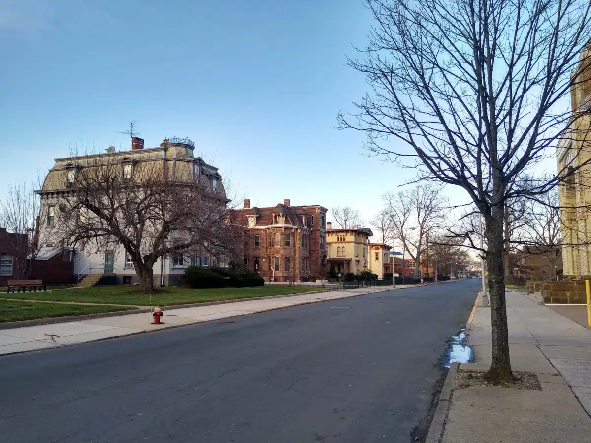 Project Free - Thumbnail 6