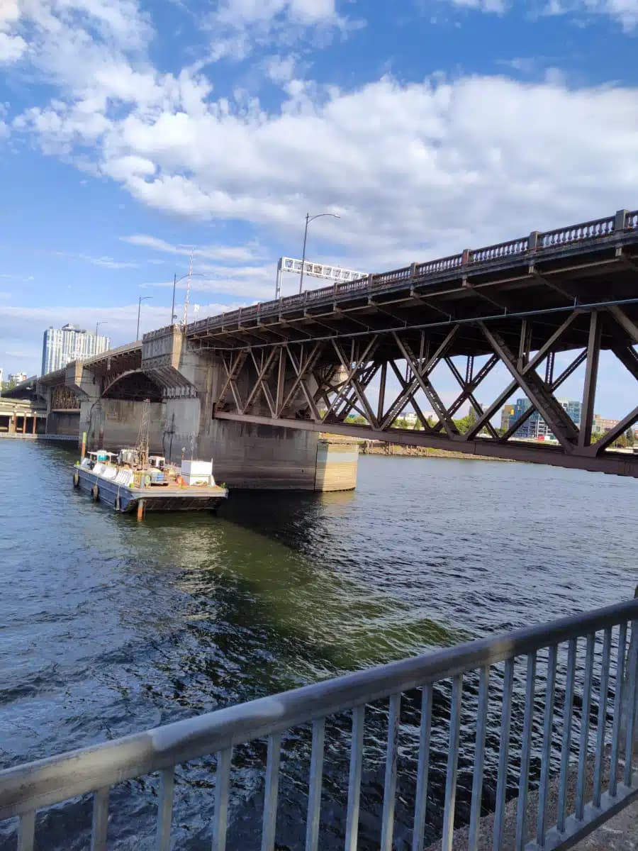 Puentes - Thumbnail 6