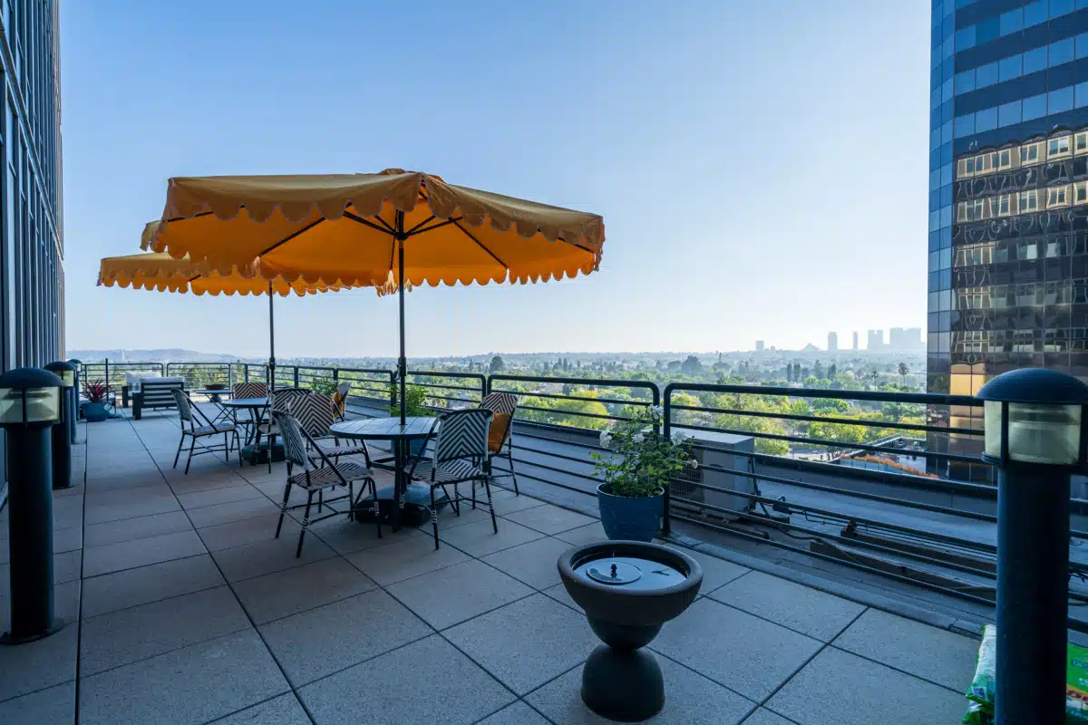 Rainbow Hill Recovery - Thumbnail 3