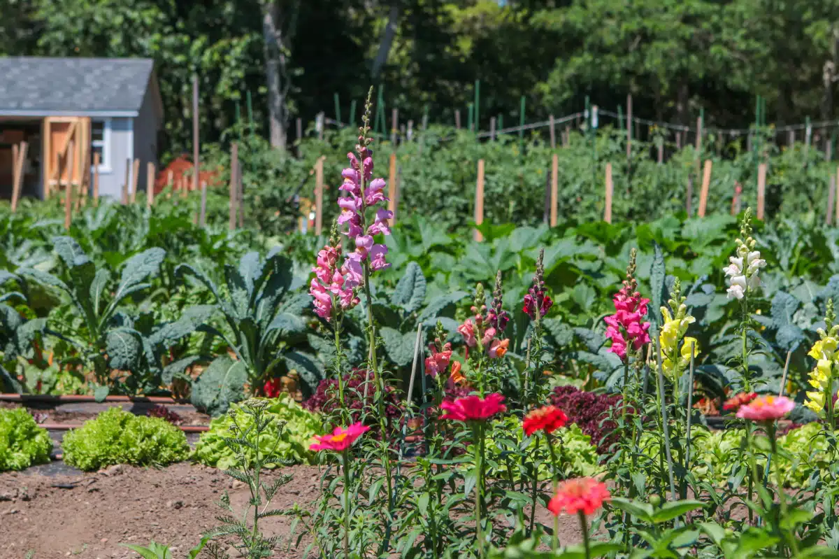 Recovering Champions LLC - Thumbnail 6