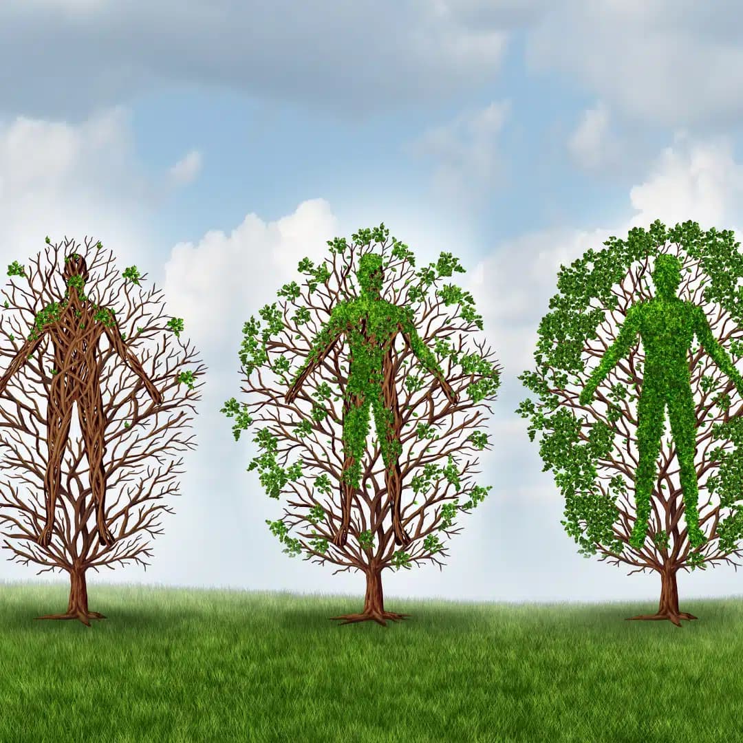 Recovery Ventures Corporation - Thumbnail 4