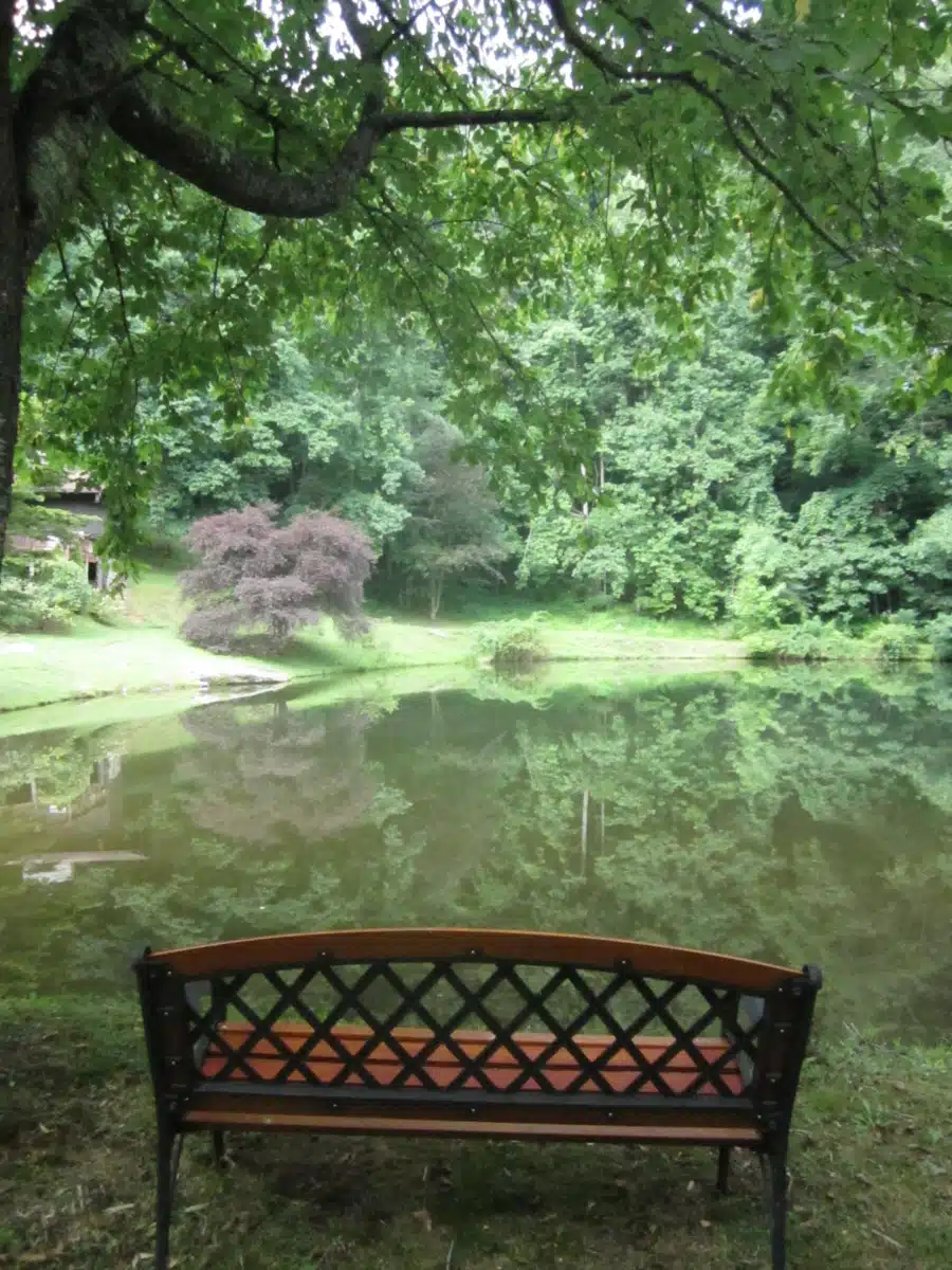 Red Oak Recovery - Thumbnail 2