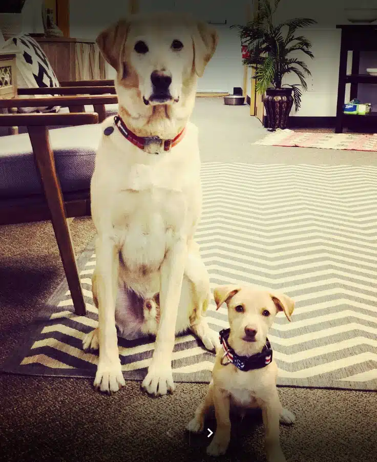 Redpoint Center - Thumbnail 3