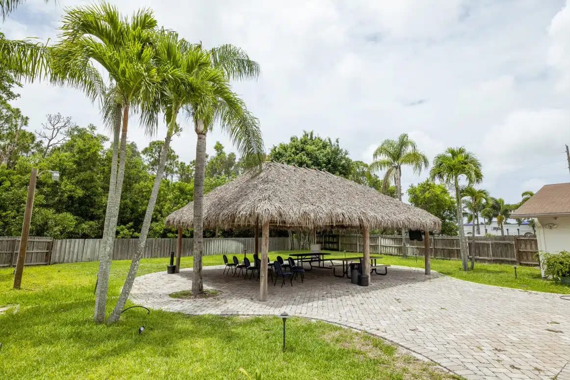 Remedy Therapy - Thumbnail 6