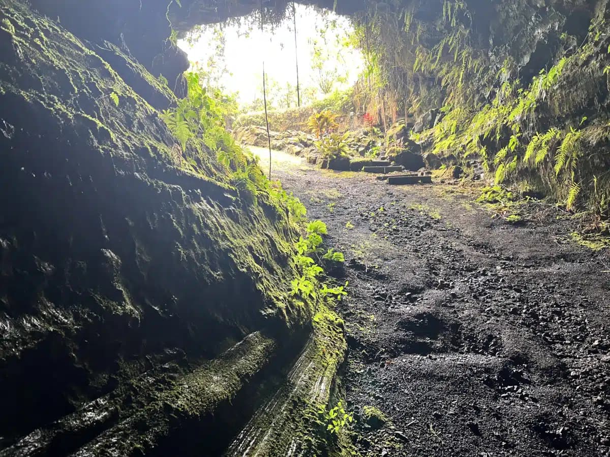 Renaissance Ranch - Thumbnail 6